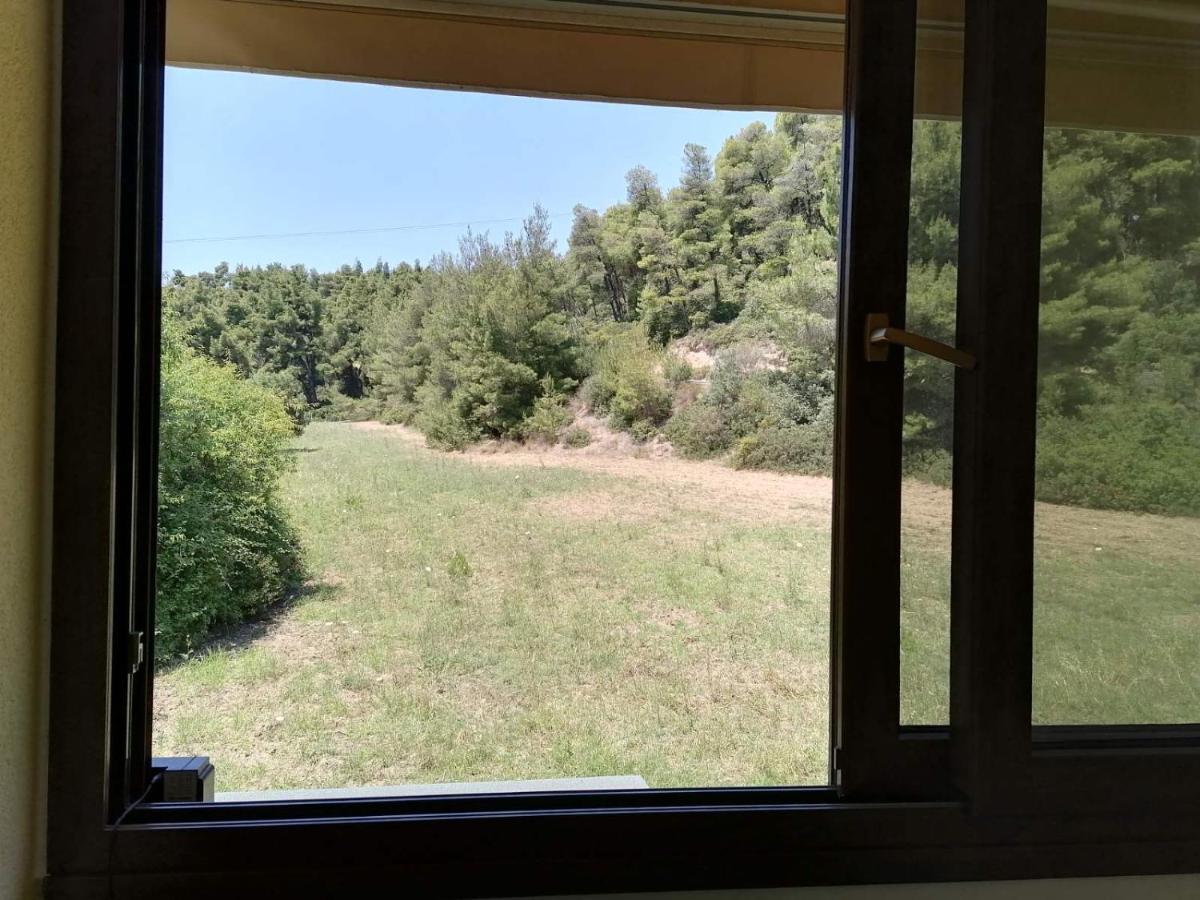 Apartment Epavli Xenia Pefkochori-paliouri 30m *
